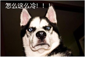 �B�Ƹ��к�������o�C(j��)���޹�˾